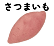806029663