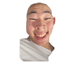 806034081