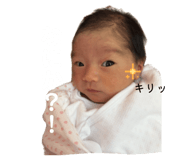 806046485