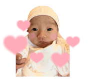 806046501