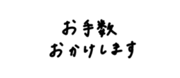 806105562