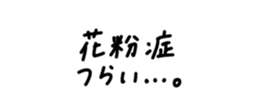 806105572