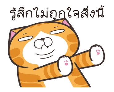 ลายที่ 11