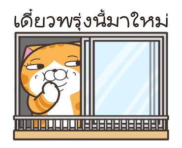 ลายที่ 13