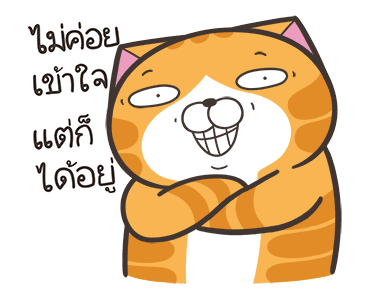 ลายที่ 15