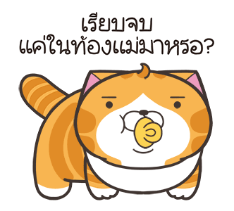 ลายที่ 21