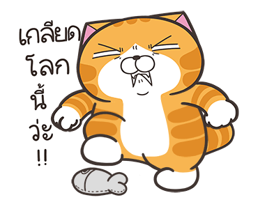 ลายที่ 23