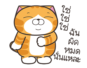 ลายที่ 25