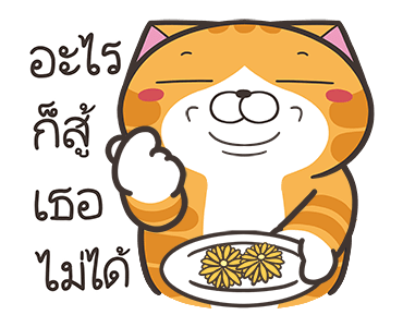 ลายที่ 31