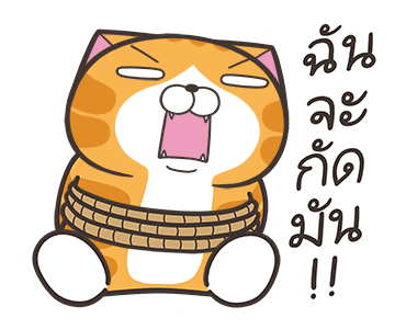 ลายที่ 33