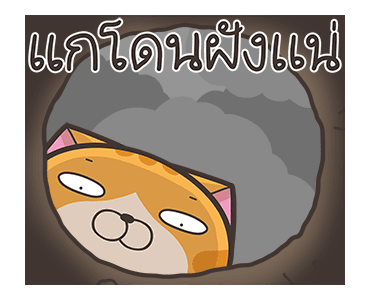 ลายที่ 35