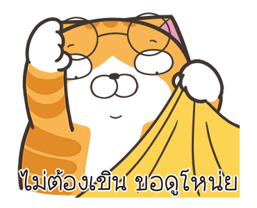 ลายที่ 45