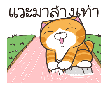 ลายที่ 47