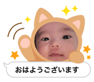 806133853