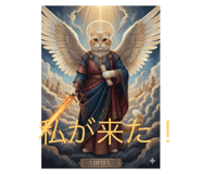 806160194