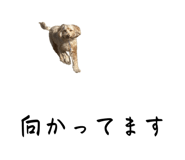 806160591