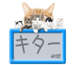 806187144