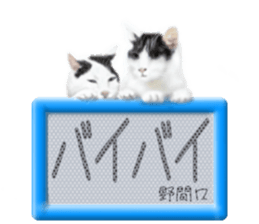 806187654