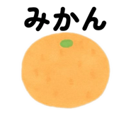 806220344
