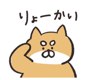 806221554