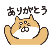 806221556