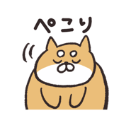 806221557