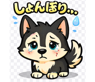 806225289