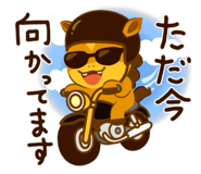 806243937