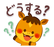 806243949