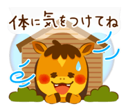 806243952
