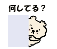 806252330