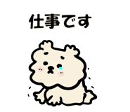 806252334