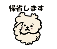 806252337