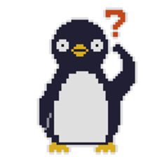 806260020