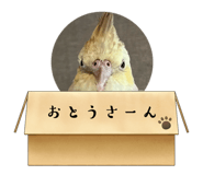 806378147