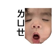 806392331