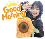 806403817