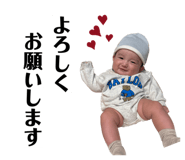 806408027
