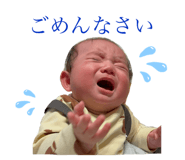 806408031