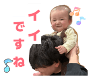 806408033
