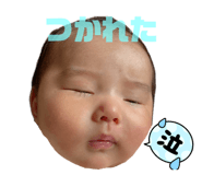 806409899