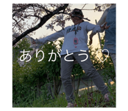 806411374