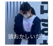 806411381
