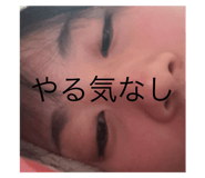 806411382