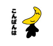 806417795