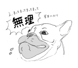 80644824