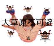 806453267
