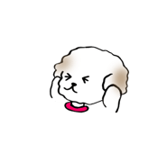 806466184