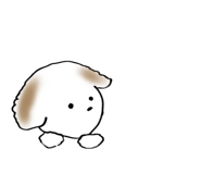 806466188