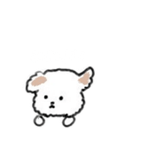 806466193